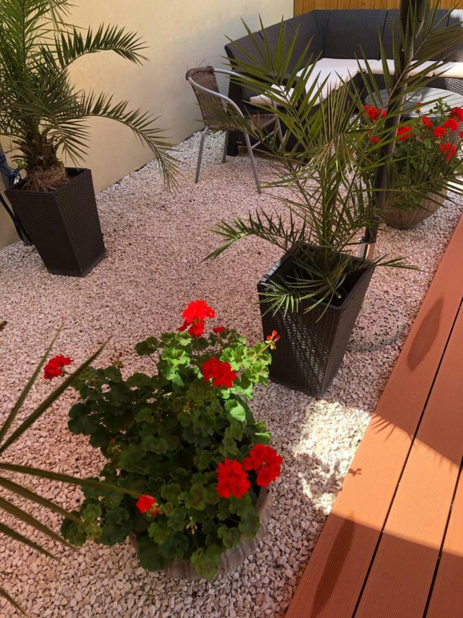 Mosoly Apartman Szeged Eksteriør bilde
